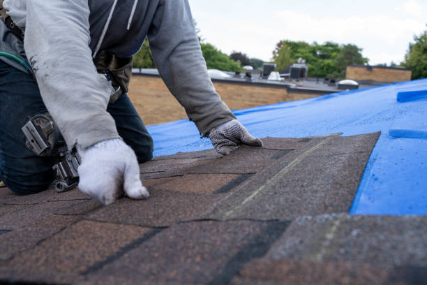 Best Storm Damage Roof Repair  in Kingston, PA