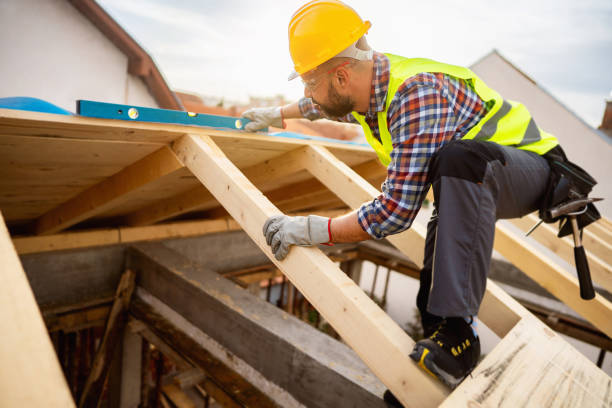 Roof Gutter Cleaning in Kingston, PA